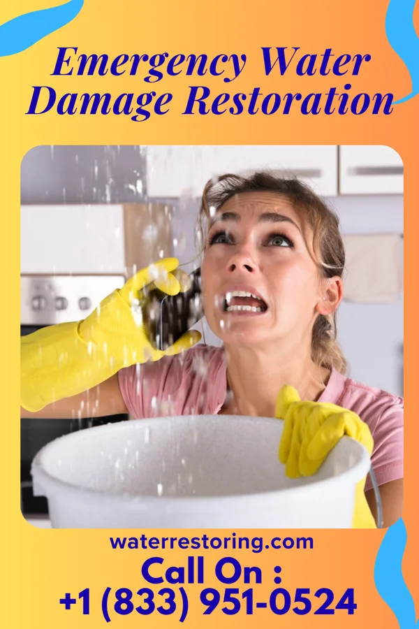 Emergency Water Damage Restoration in St. Leo, MN