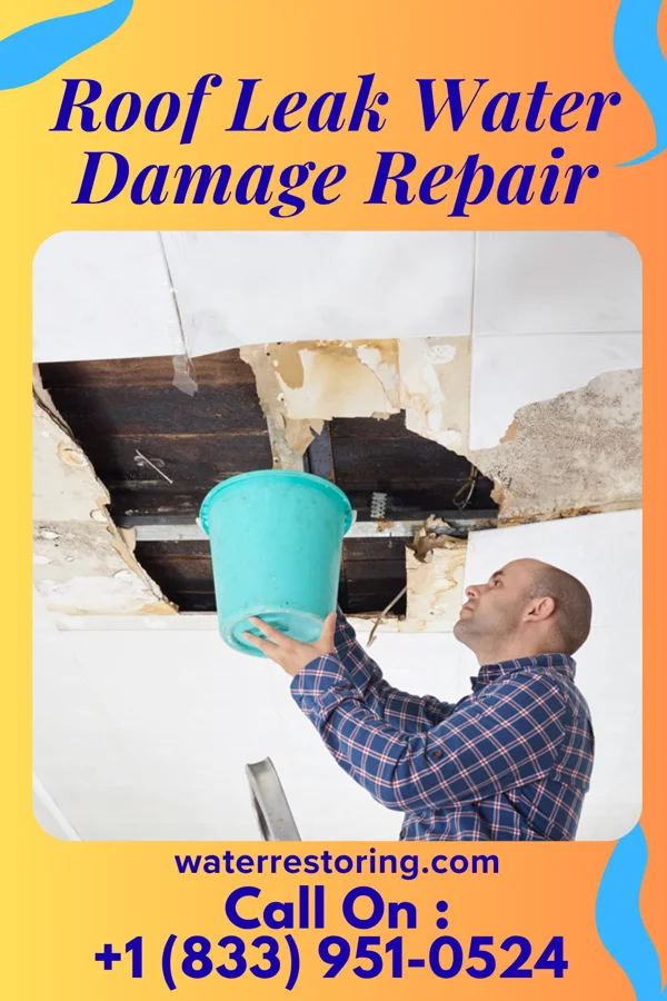 Roof Leak Water Damage Repair in St. Leo, MN