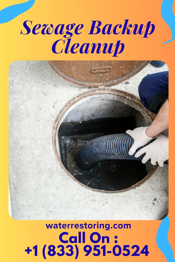 Sewage Backup Cleanup in St. Leo, MN